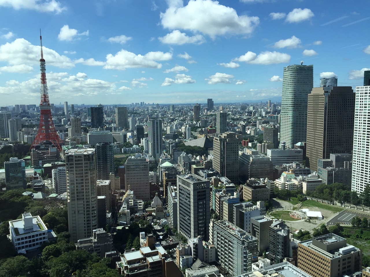 紫叶风铃 第23页