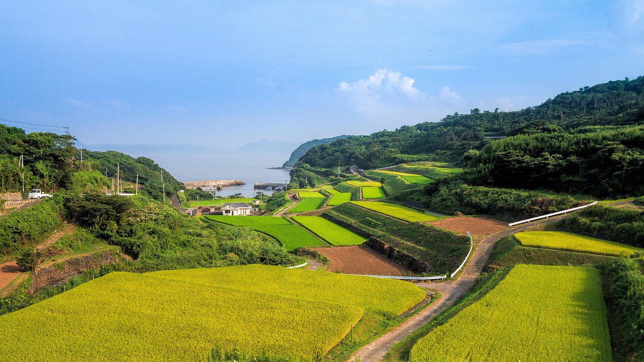 开州三汇口乡，乡村振兴与社区发展新篇章揭晓最新消息