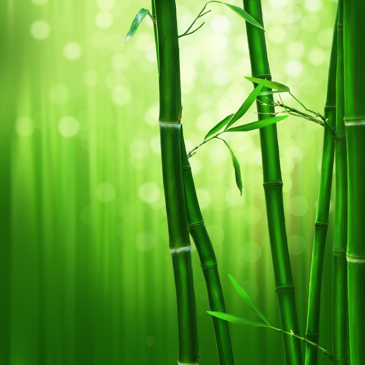 最新果苗，种植未来与绿色经济推动力之源