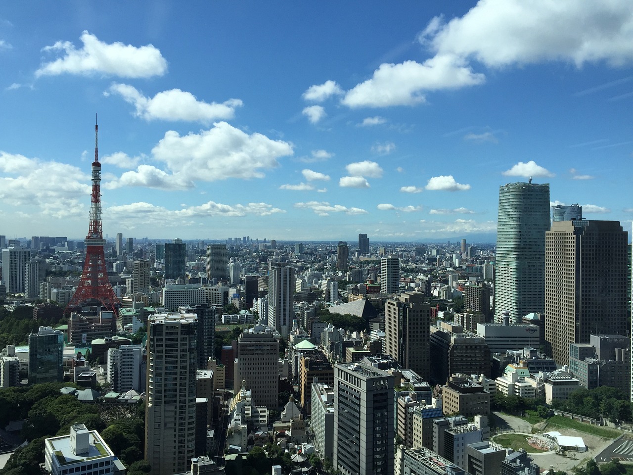 青岛最新房价走势图揭示城市经济发展脉络与未来趋势分析