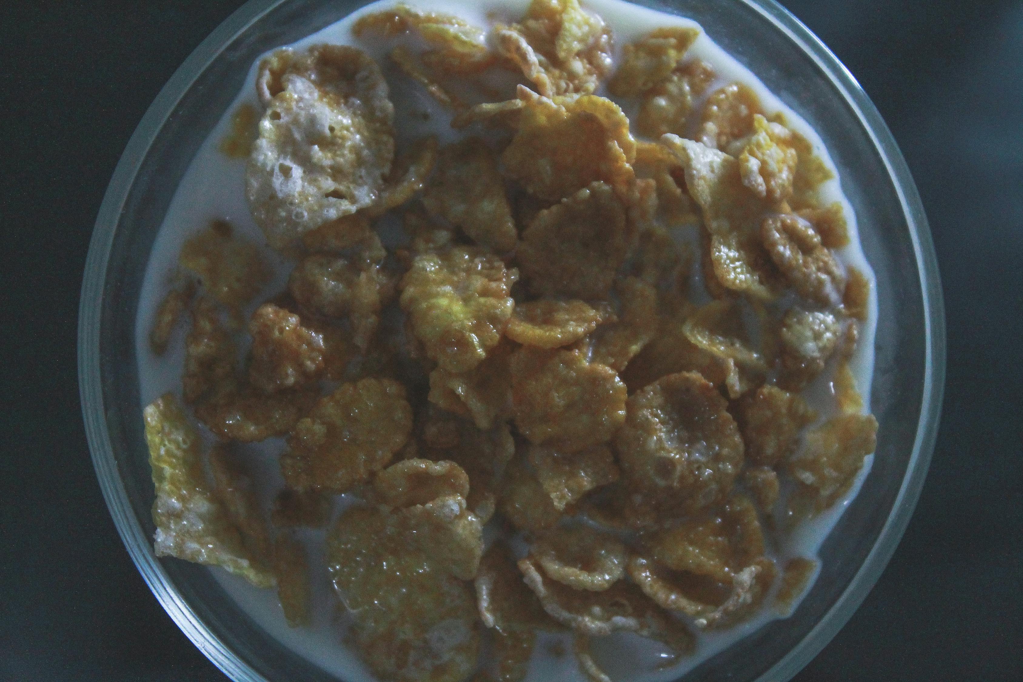 旧人不归 第5页